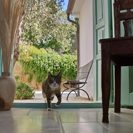 Aquilo Villa Megali Ammos (Alonissos)