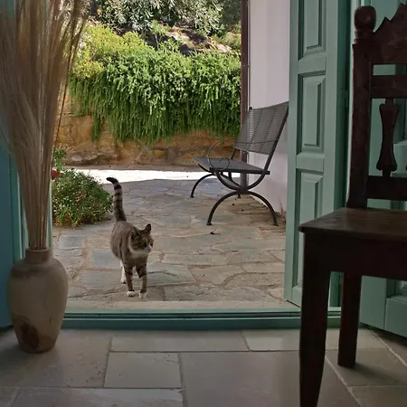 Villa Aquilo Megali Ammos (Alonissos)